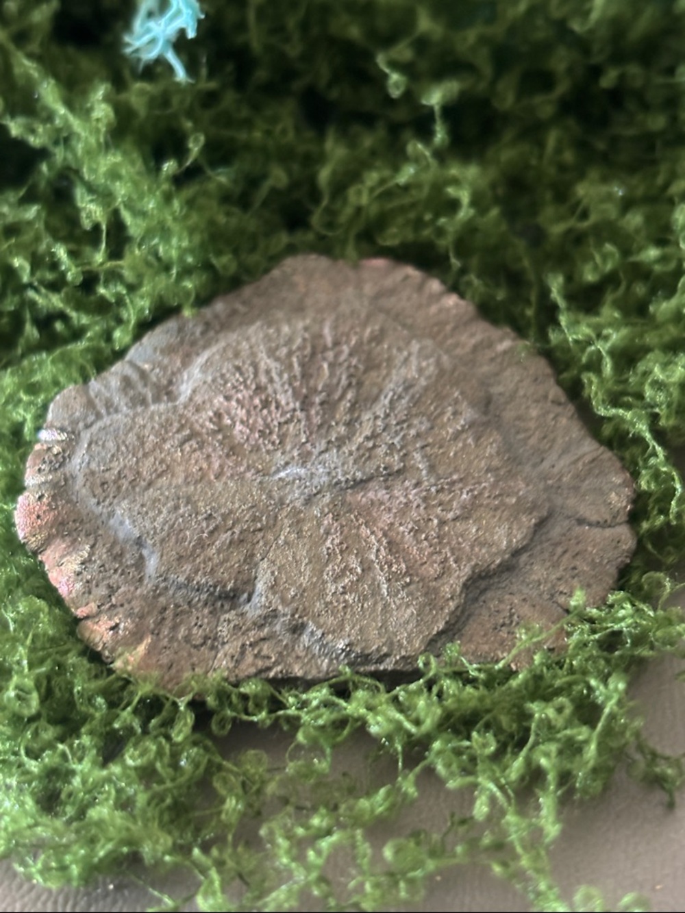 Pyrite Sun